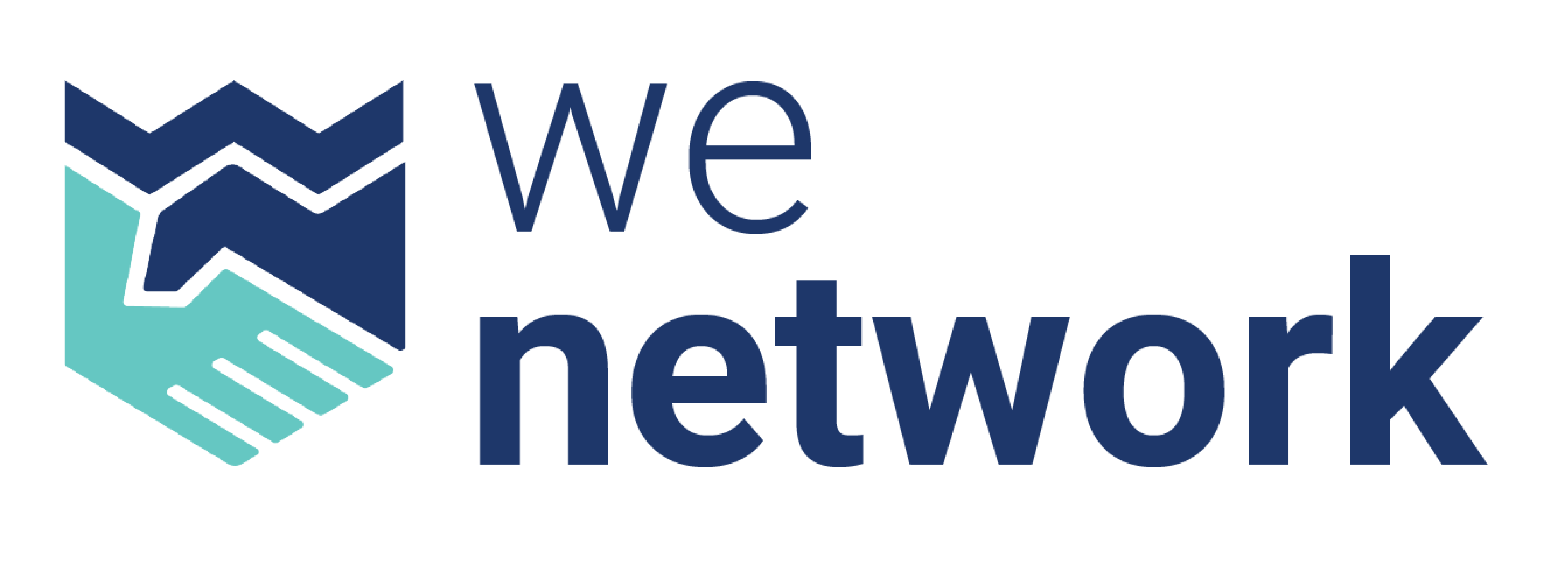 WeNetwork Logo Original (Color)